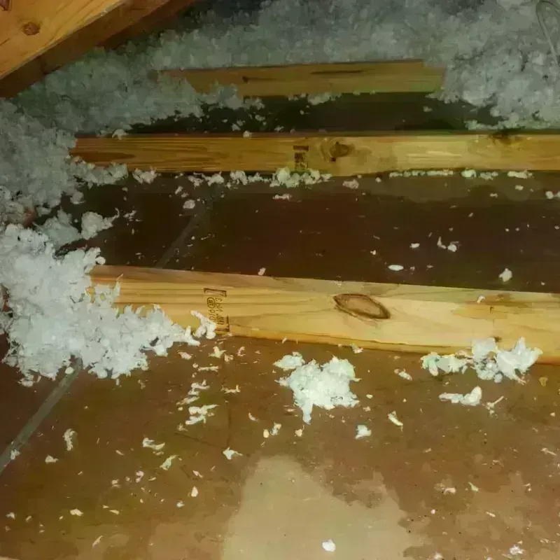 Attic Water Damage in Jamaica, NY